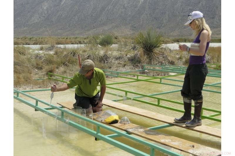 Understanding Life s Rules: From Pond Ecosystems to the Beyond