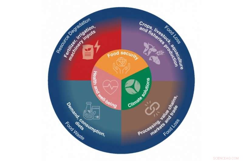 Study Shows Targeting Food Systems Can Drive Climate Change Mitigation
