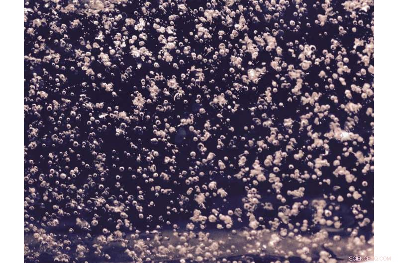 Ancient Carbon Reservoirs Unlikely to Trigger Large Greenhouse Gas Release