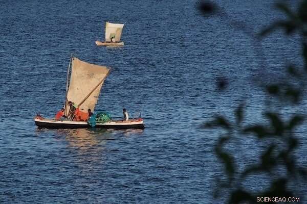 Unveiling the Feedback Loop Between Decision‑Making and Environmental Change