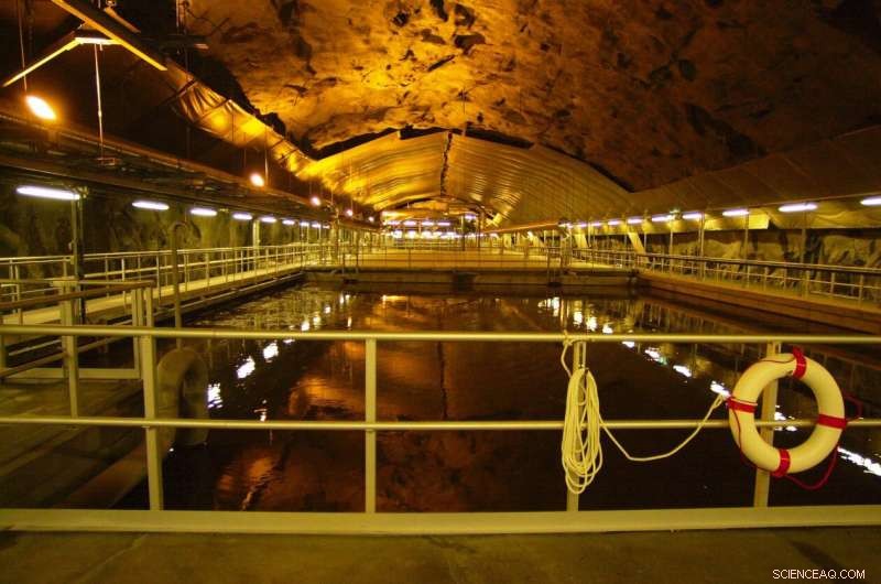 Peak Phosphorus Approaches: Transforming Sewage Sludge into a Valuable Resource