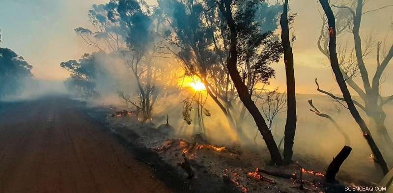Satellite‑Based Bushfire Maps Reveal Significant Gaps in Australia’s Preparedness