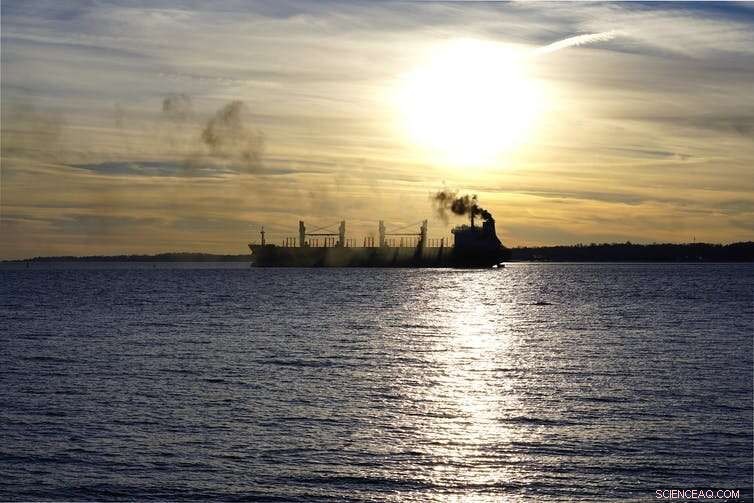 Green Ammonia: Reducing Farm Emissions and Powering Future Shipping