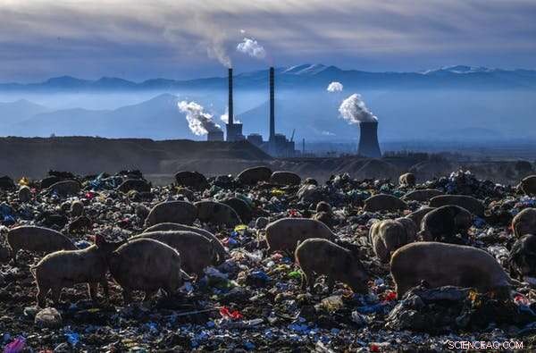 Can Capitalism Thrive While Protecting the Planet?