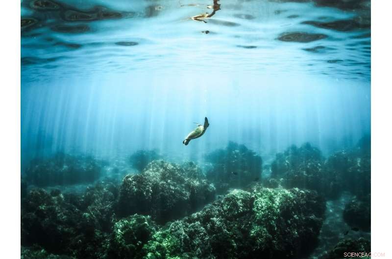 Strategic Blueprint to Protect Earth s Oceans