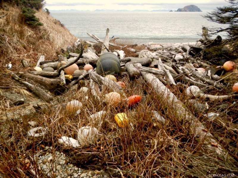 Grand Challenge Review Highlights Microplastics  Global Impact