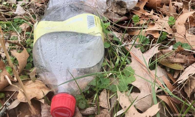 Grand Challenge Review Highlights Microplastics  Global Impact