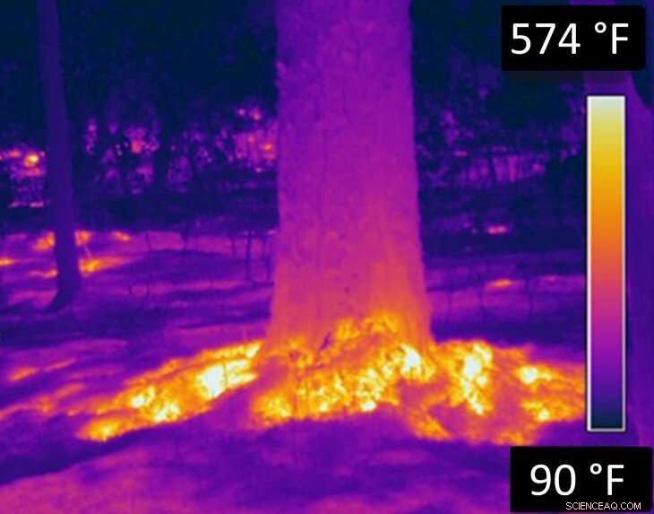 Avoid Tree Damage: Factor Forest Duff into Controlled Burning Strategies