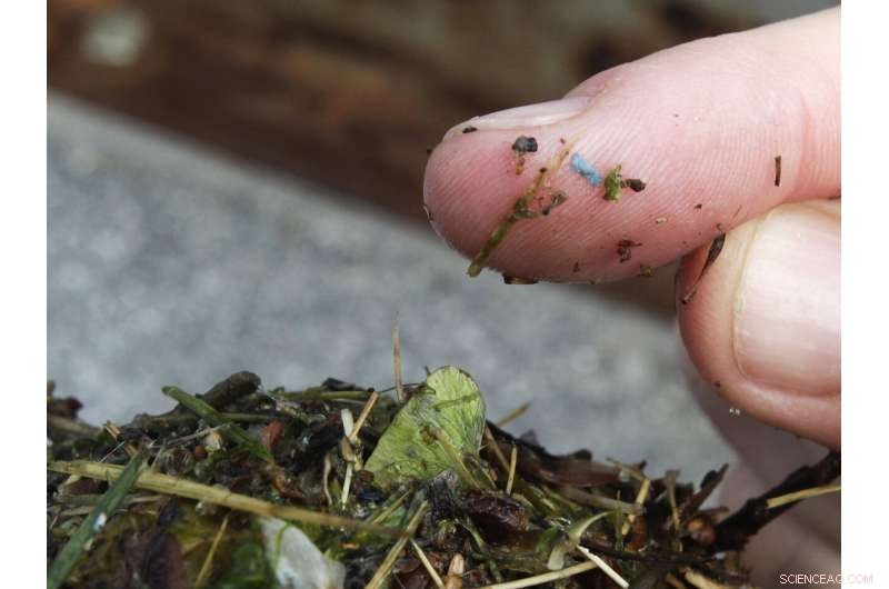 Global Researchers Convene to Assess Microplastic Pollution Risks