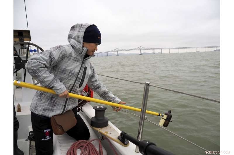 Global Researchers Convene to Assess Microplastic Pollution Risks