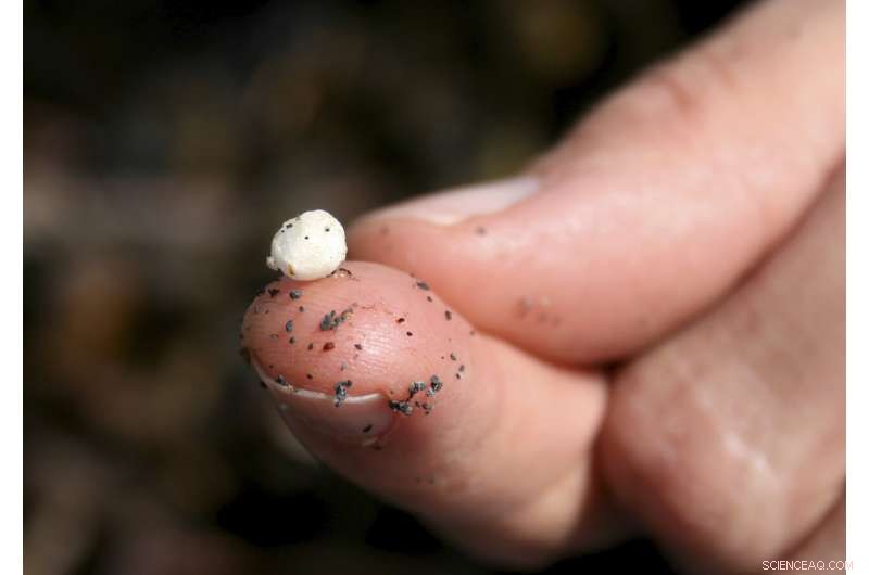 Global Researchers Convene to Assess Microplastic Pollution Risks