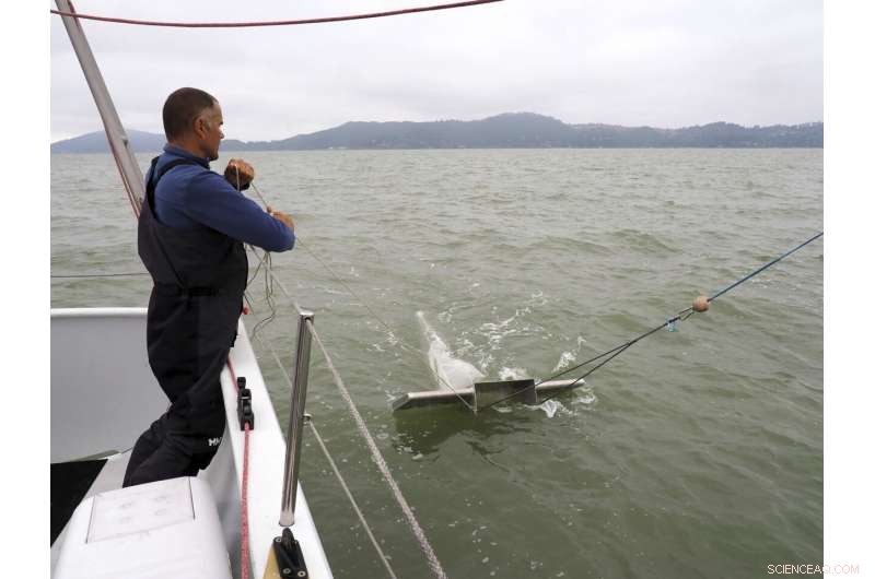 Global Researchers Convene to Assess Microplastic Pollution Risks