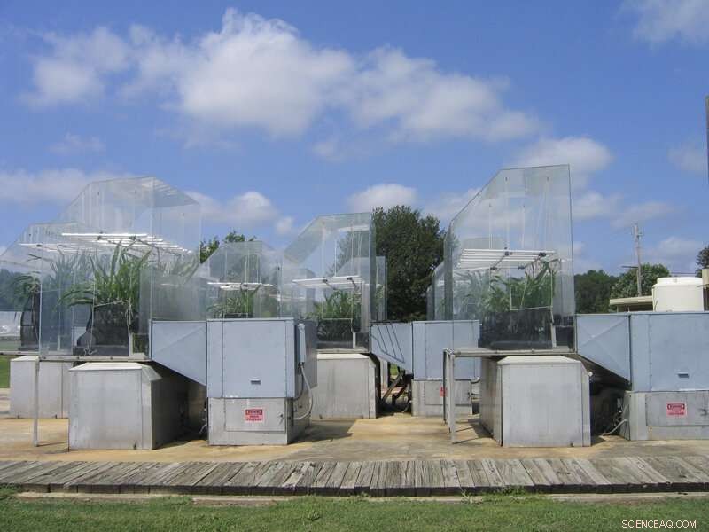 Fortifying Crops for Tomorrow s Climate