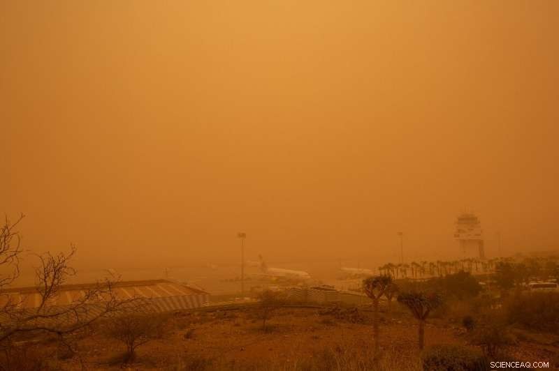All Canary Island Airports Reopen as Haze Clears After Sandstorm