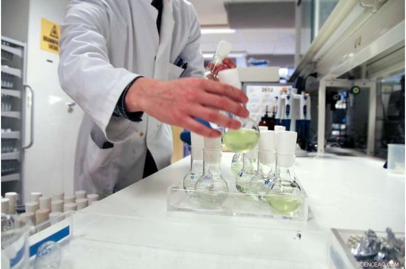 Bottled Water: More Than a Drink—Its Unexpected Scientific and Environmental Uses