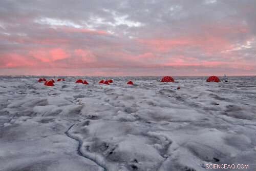 Glacier Algae Darkens Greenland Ice Sheet Margins – New Research Reveals the Science