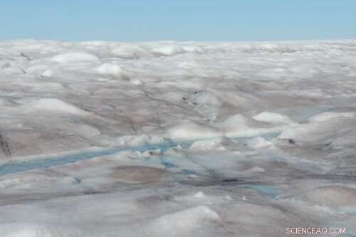 Glacier Algae Darkens Greenland Ice Sheet Margins – New Research Reveals the Science