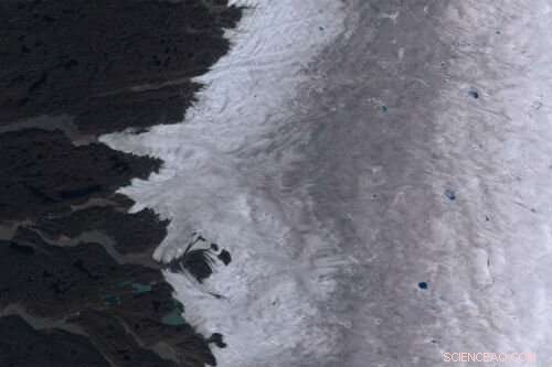 Glacier Algae Darkens Greenland Ice Sheet Margins – New Research Reveals the Science