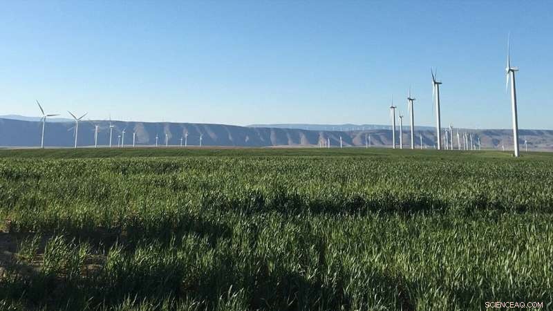 Accurate Forecasting of Persistent Cold Pool Events