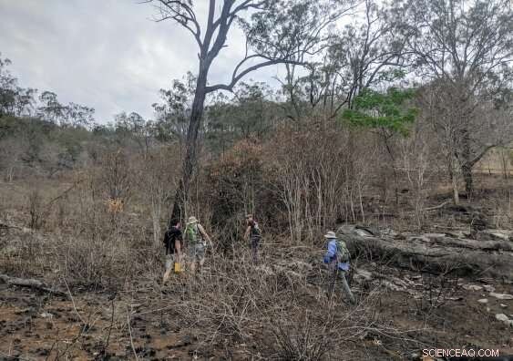 Caves Confront New Challenges Following Record-Breaking Bushfires