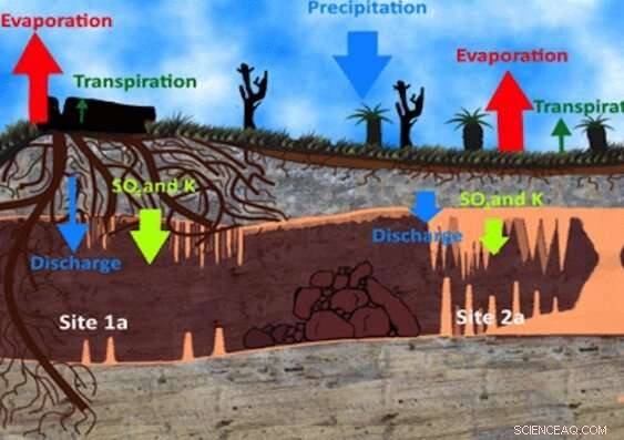 Caves Confront New Challenges Following Record-Breaking Bushfires