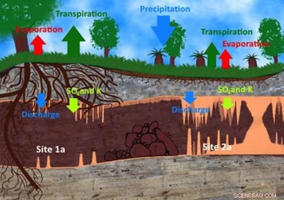 Caves Confront New Challenges Following Record-Breaking Bushfires