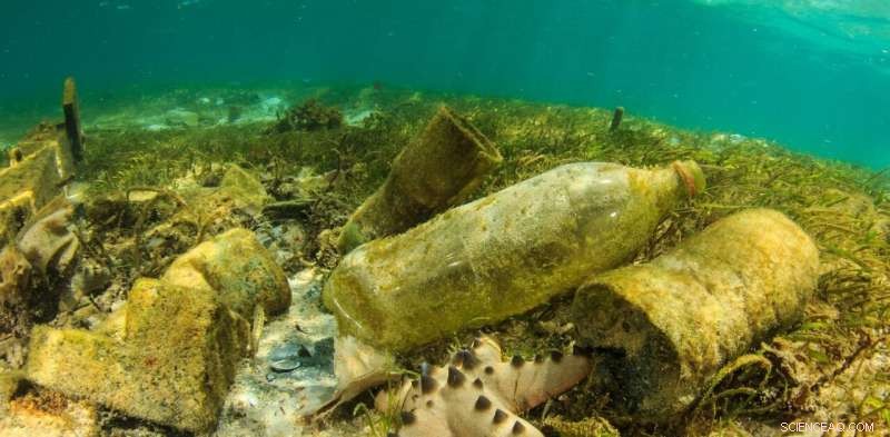 New Conservation Targets Set to Safeguard the Natural World