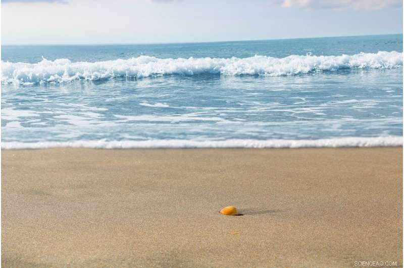 Citizen Scientists Use Paddle Surfing to Map Microplastic Pollution on Barcelona’s Coastline