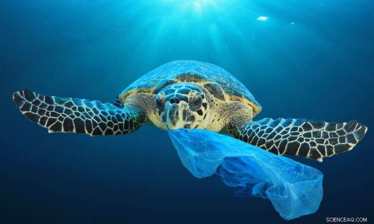 Ending the Offshoring of Plastic Pollution: A Call to Action