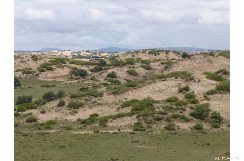 Local Factors Prevent Simultaneous Activation of Dune Fields