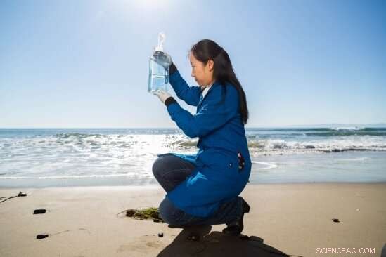 Scientists Reveal How Deep-Sea Microbes Degrade Resistant Organic Compounds