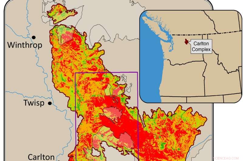 How Thinning and Prescribed Burns Safeguarded Washington Forests from the 2014 Carlton Complex Fire