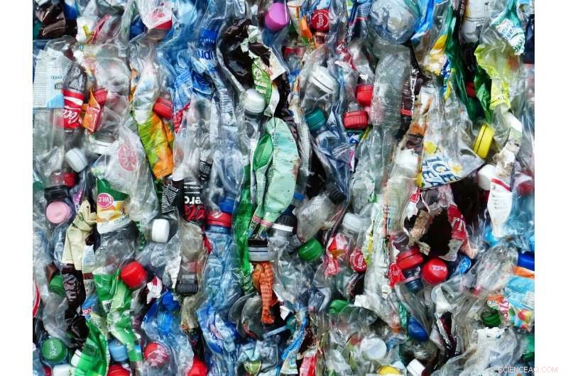 California Lawsuit Holds Coca‑Cola, Pepsi and Others Accountable for Plastic Pollution