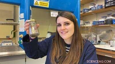 Investigating Microplastic Contamination in Agriculture: The Impact of Sewage‑Derived Fertilisers