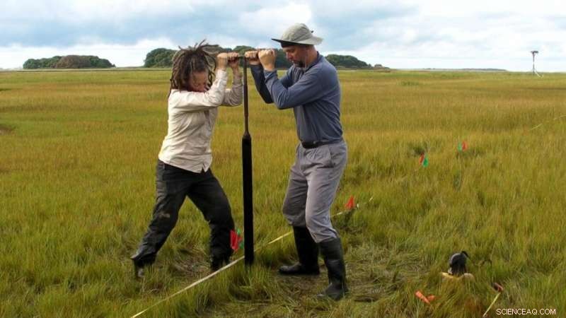 Rapid 18th‑Century Sea Level Rise Detected Along North America’s Atlantic Coast, Study Finds