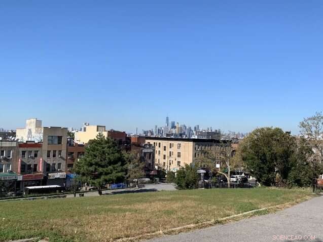 Balancing Gentrification and Sustainable Growth in Sunset Park, Brooklyn