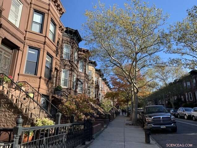 Balancing Gentrification and Sustainable Growth in Sunset Park, Brooklyn