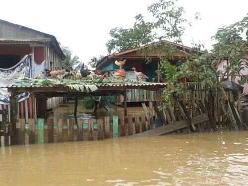 Brazilian Communities Unite Against Floods Using Memory and Mobile Technology