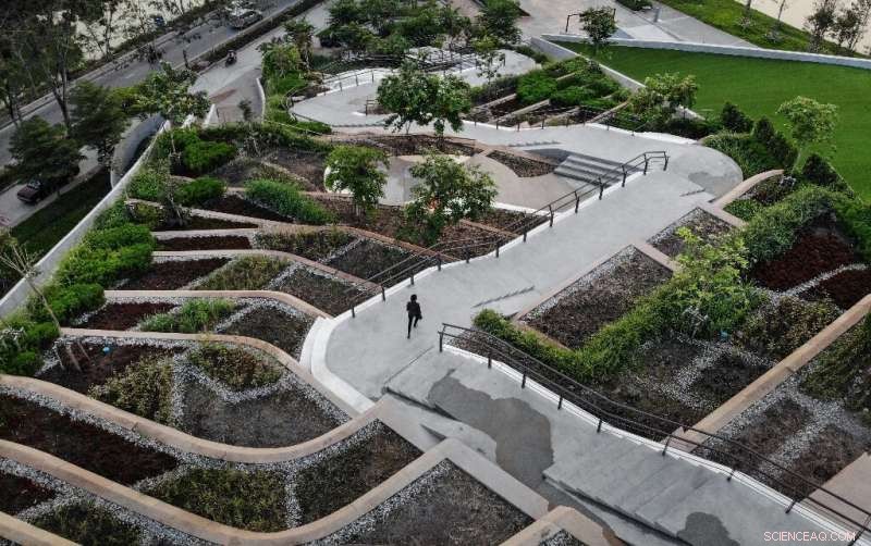 Thailand’s Climate Champion: How One Expert Is Shaping the Future of Bangkok