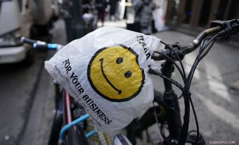 New York Enforces Ban on Single-Use Plastic Bags to Combat Throwaway Culture