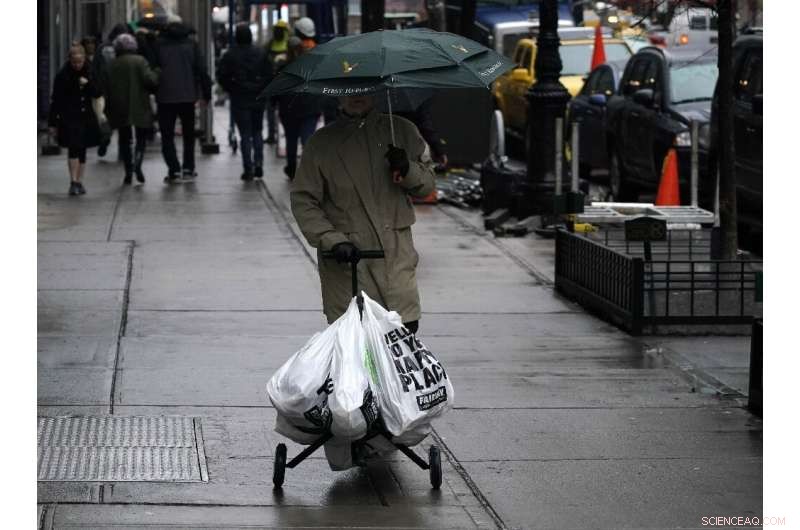 New York Enforces Ban on Single-Use Plastic Bags to Combat Throwaway Culture