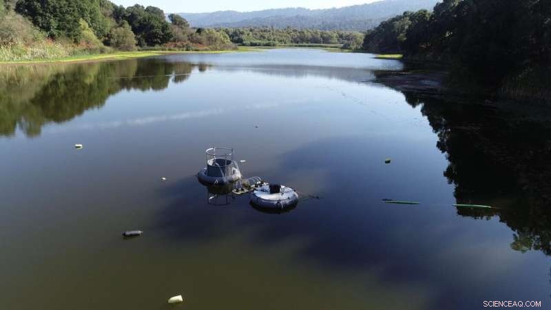 How Technology Can Eliminate Aquatic Dead Zones