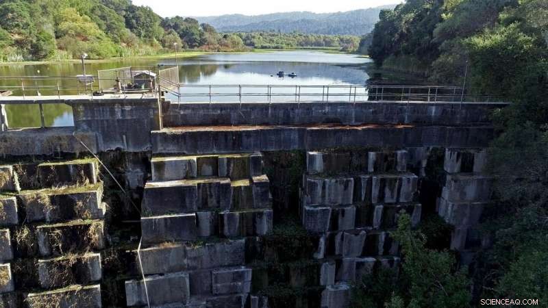 How Technology Can Eliminate Aquatic Dead Zones