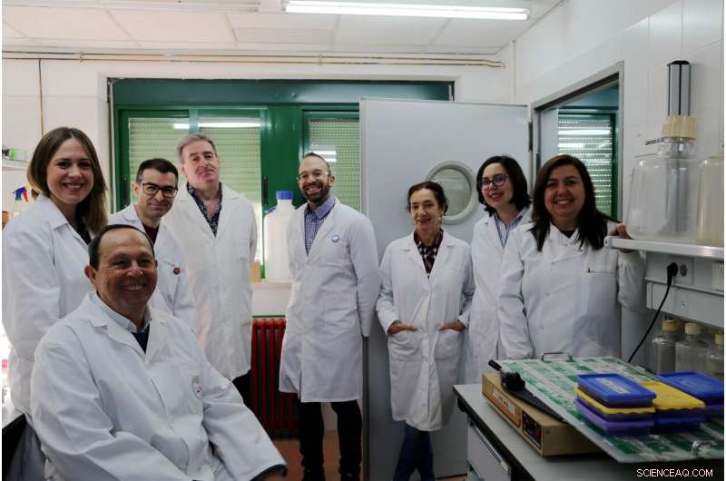 Marine Cyanobacteria Need More Than Photosynthesis to Survive