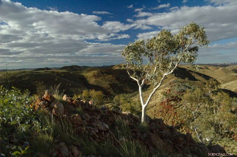 New Study Suggests Early Earth Was a Waterworld