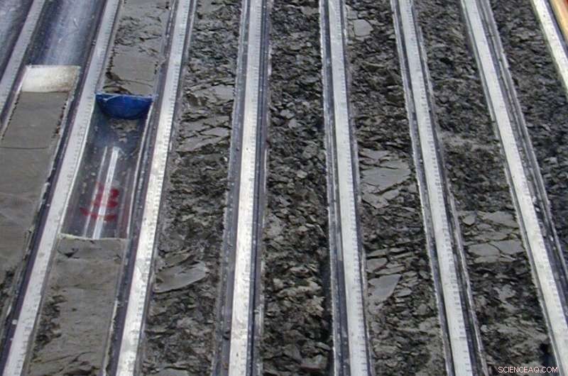 Seamounts: The Dual Role of Earthquake Generators and Dampers