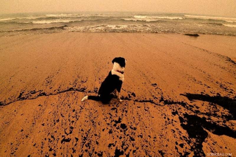 Global Study Warns Half of World s Beaches at Risk of Vanishing by 2100