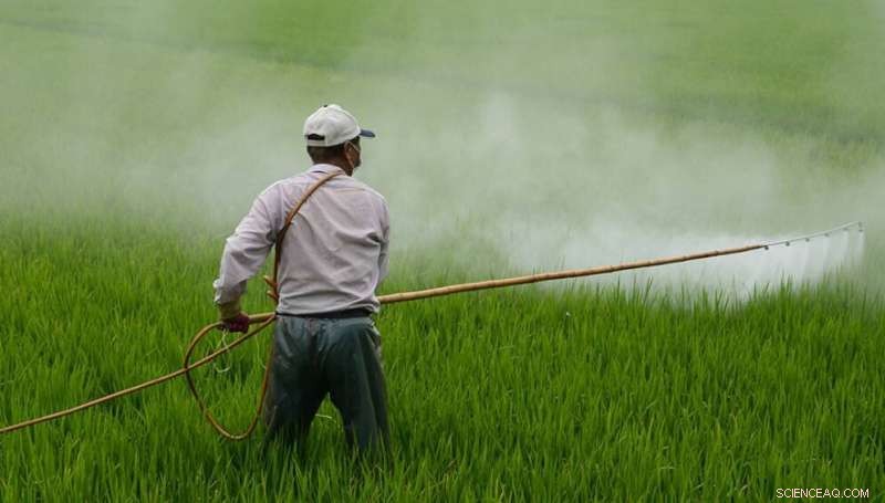 Pesticide Poisonings Undermine India s Plan to Become Global Agro-chemical Hub