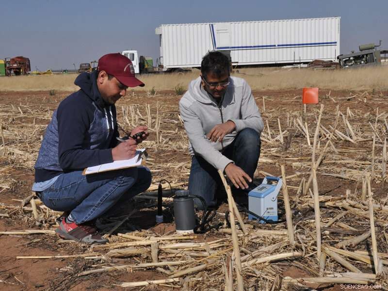 How Cover Crops Improve Soil Health in Hot, Dry Regions