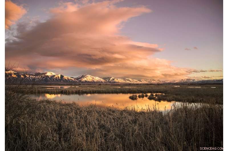 Advanced Model Enhances Management of Wetlands, Floodplains, and River Habitats